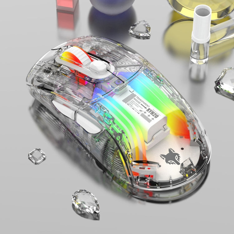 Lisslune | XUNFOX XYH20RGB 2.4G + BT + Wired Transparent 2400DPI RGB Light Gaming Mouse(White)