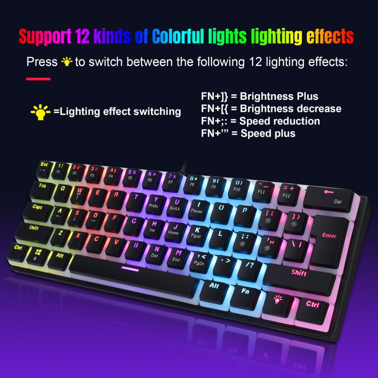 Lisslune | HXSJ L700 Wired RGB Mechanical Keyboard 61 Pudding Keycaps (Black)