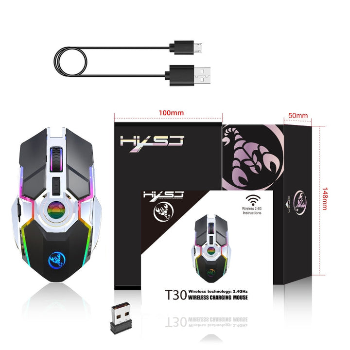 Lisslune | HXSJ T30 2400DPI RGB 2.4GHz Wireless Mouse (Black)
