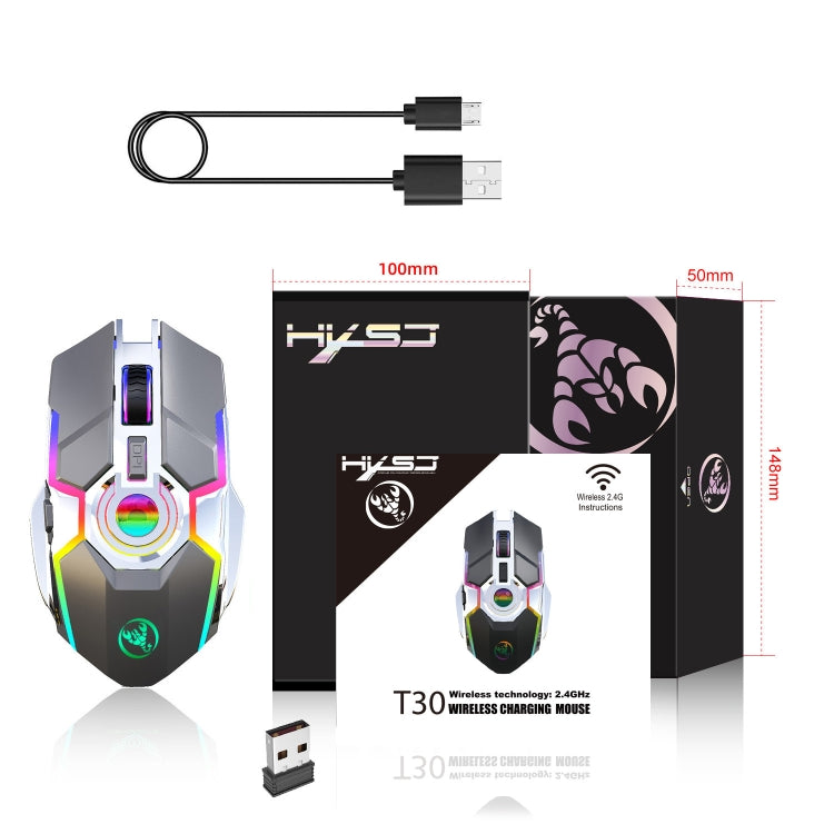 Lisslune | HXSJ T30 2400DPI RGB 2.4GHz Wireless Mouse (Metallic Gray)