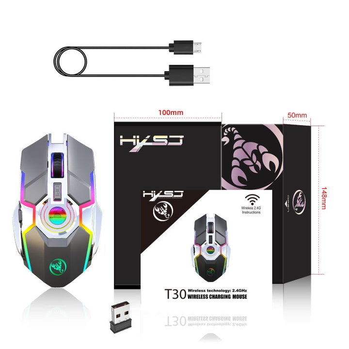 Lisslune | HXSJ T30 2400DPI RGB 2.4GHz Wireless Mouse (Metallic Gray)
