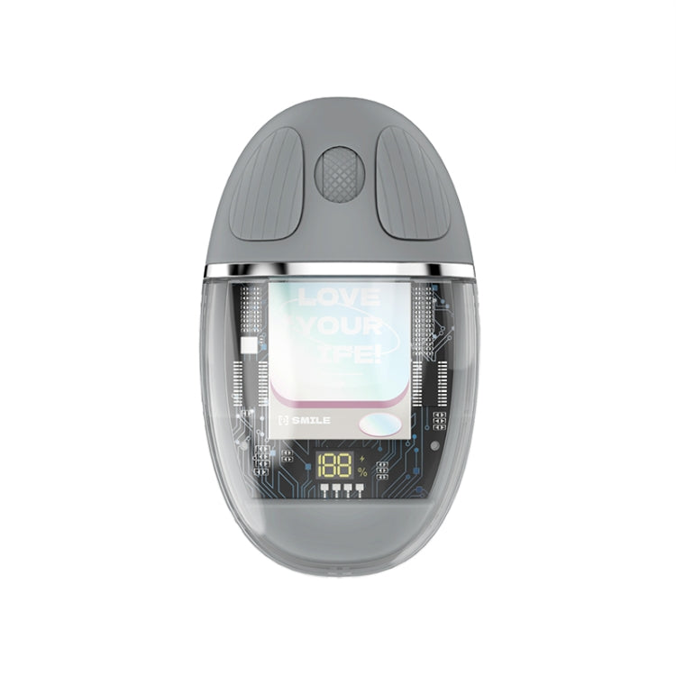Lisslune | ZGA Colorful Transparent Dual Mode Wireless 2.4G + Bluetooth 5.0 Mouse (Gray)
