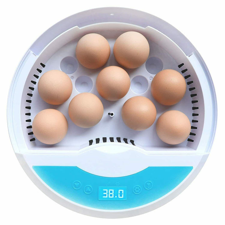 Lisslune | Egg Incubator for Chicken Eggs Incubator for Egg Hatching Chicks with Temp Control LED Chicken Hatcher