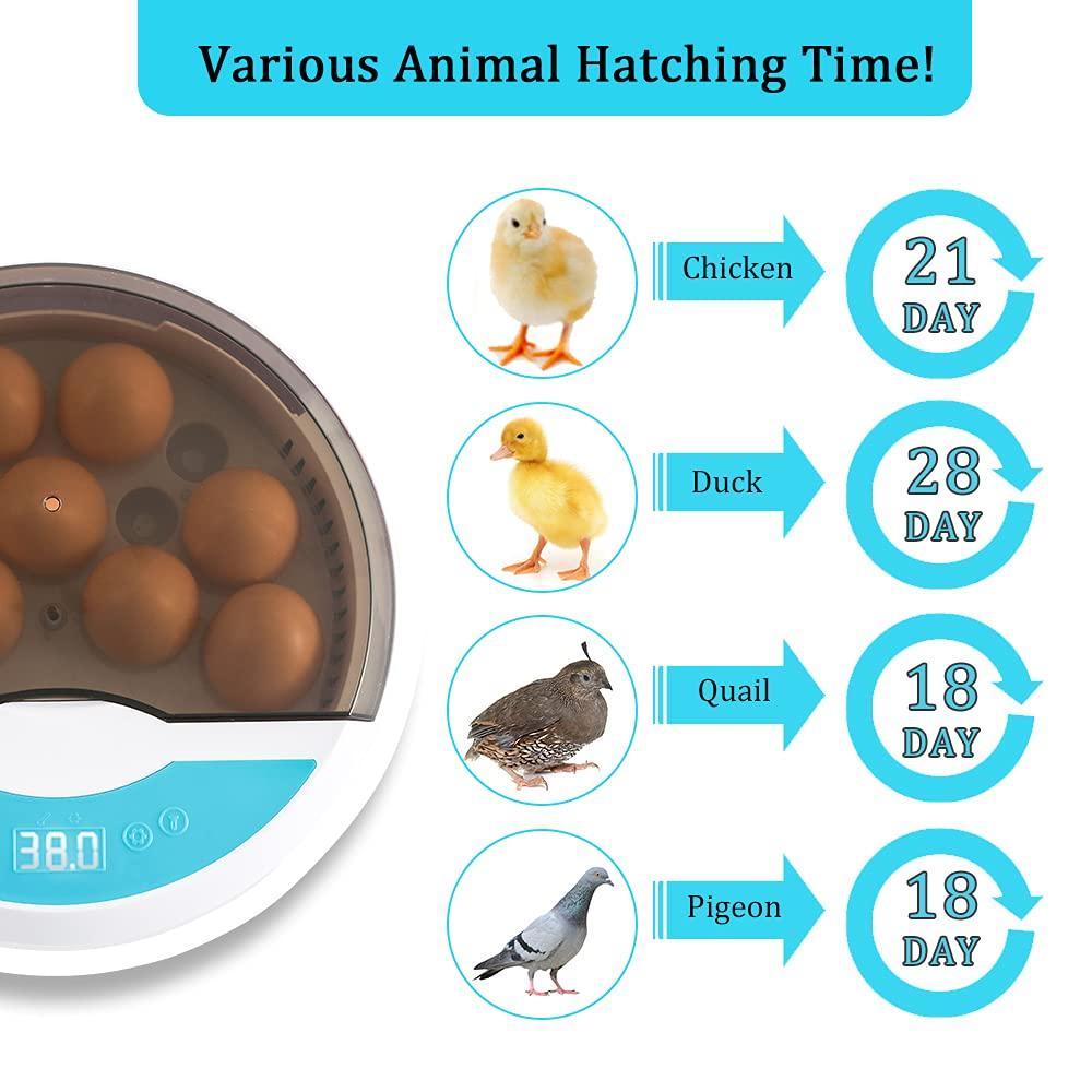 Lisslune | Egg Incubator for Chicken Eggs Incubator for Egg Hatching Chicks with Temp Control LED Chicken Hatcher