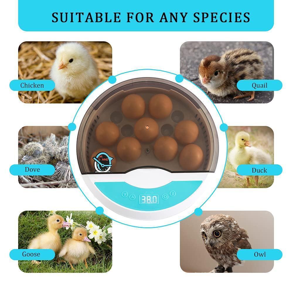 Lisslune | Egg Incubator for Chicken Eggs Incubator for Egg Hatching Chicks with Temp Control LED Chicken Hatcher