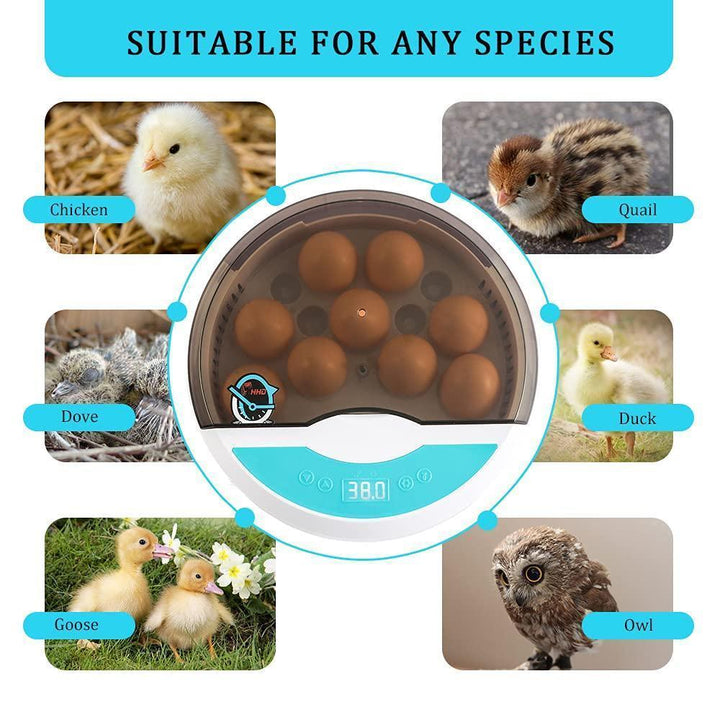 Lisslune | Egg Incubator for Chicken Eggs Incubator for Egg Hatching Chicks with Temp Control LED Chicken Hatcher