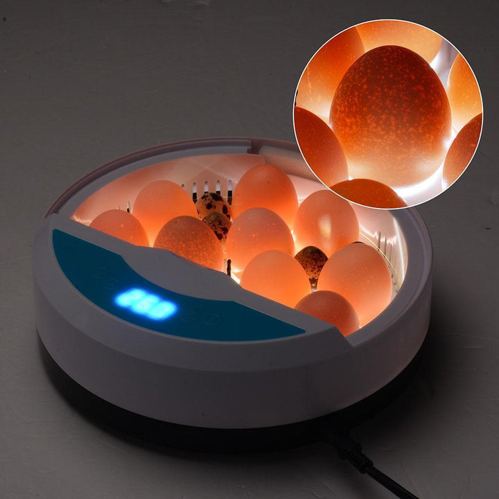 Lisslune | Egg Incubator for Chicken Eggs Incubator for Egg Hatching Chicks with Temp Control LED Chicken Hatcher