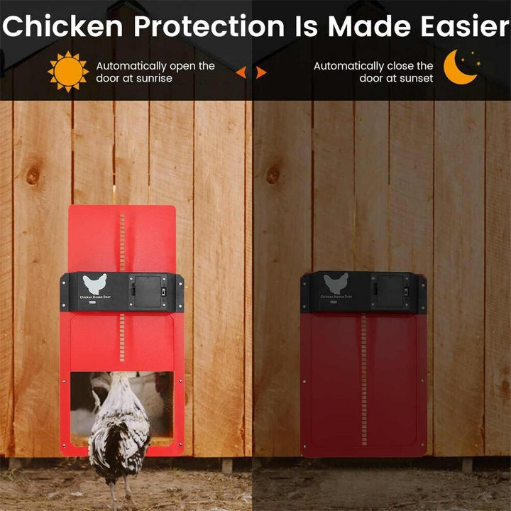 Lisslune | PRO+ | Automatic Chicken Flap