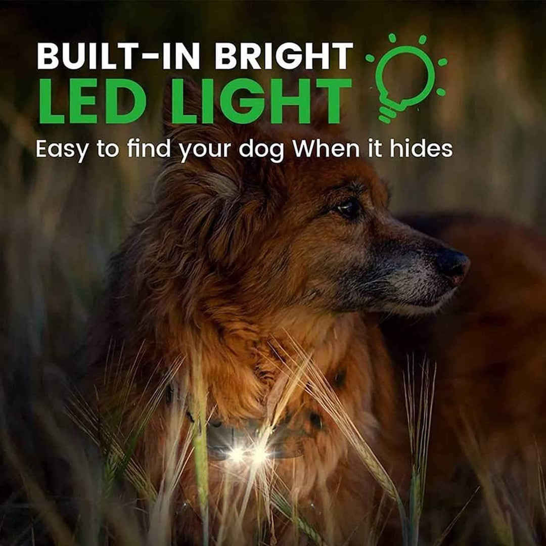 Lisslune | 800M Rechargeable Electric Dog Training Collar | Waterproof, Remote Control & Ideal for Effective Dog Training