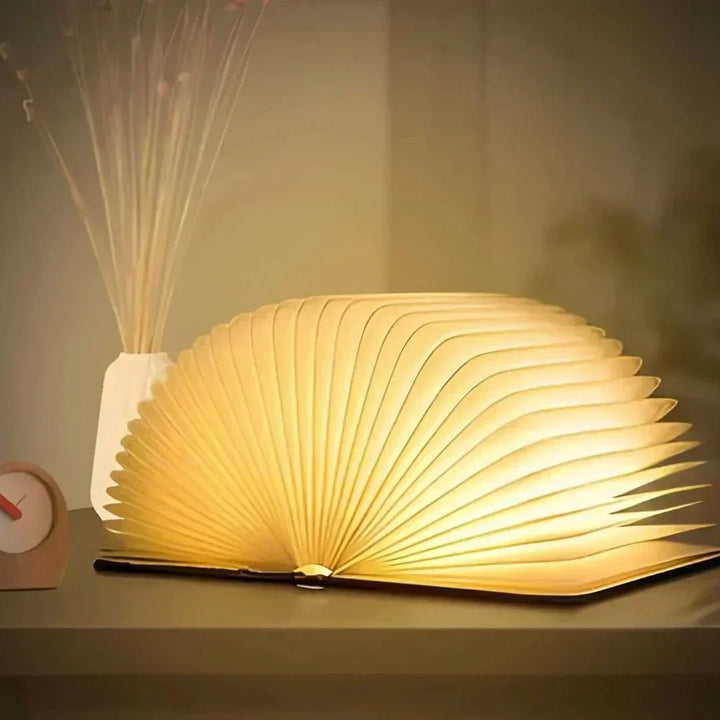 Lisslune | Frendorf Book Light