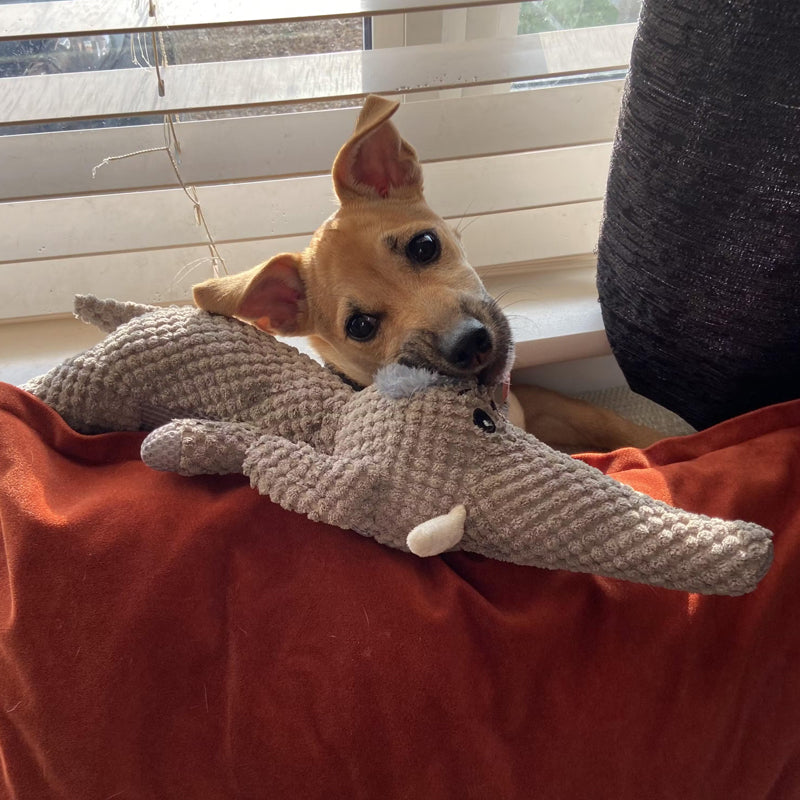 Lisslune | PowerPlay Dog Toy – Durable Chew Toy made of Denim Material