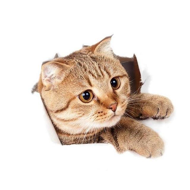 Lisslune | Exquisite 3D Cat Wall Decoration Stickers: Enhance the Aesthetics of Your Home