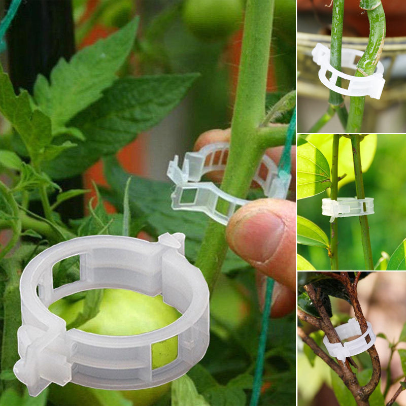 Lisslune | Practical Plant Support Clip