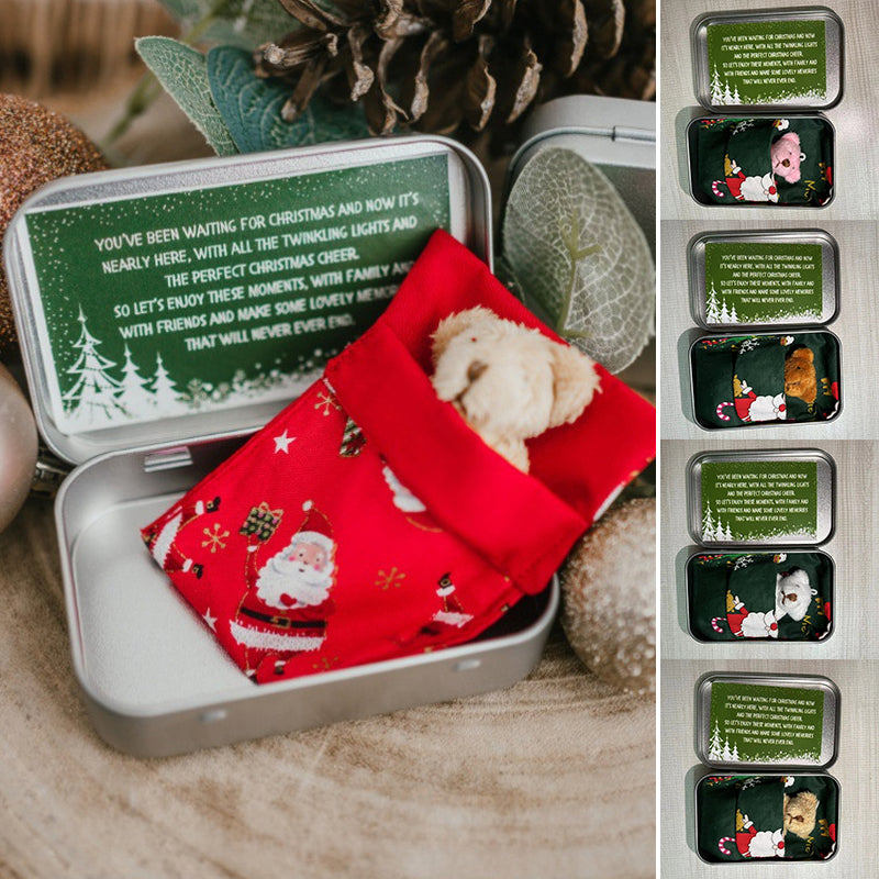 Lisslune | Teddy Bear Christmas Gift