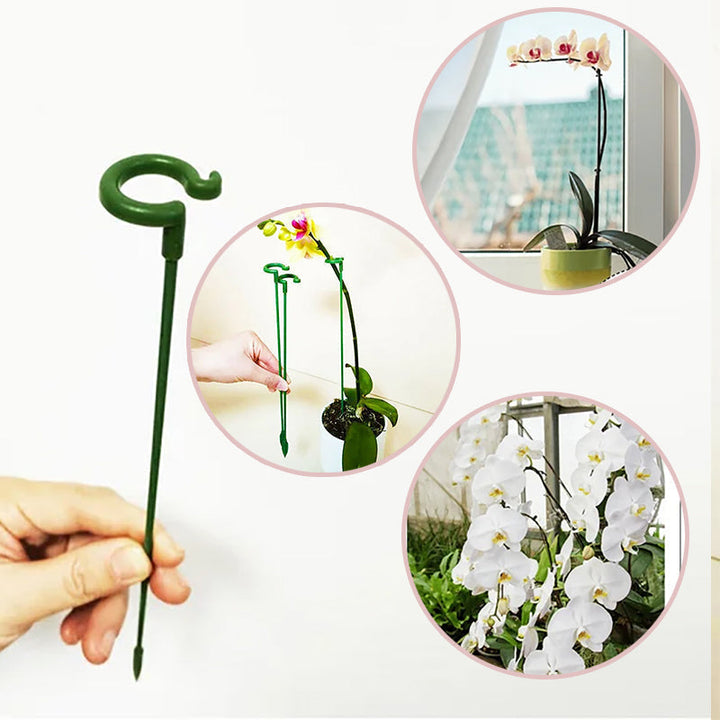 Lisslune | Plant support