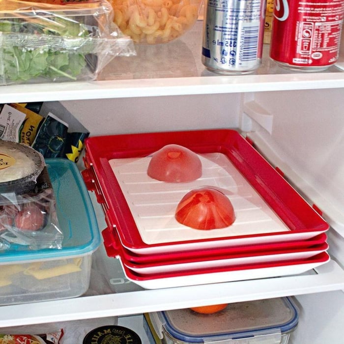 Lisslune | Reusable freshness plate with airtight closure for daily use