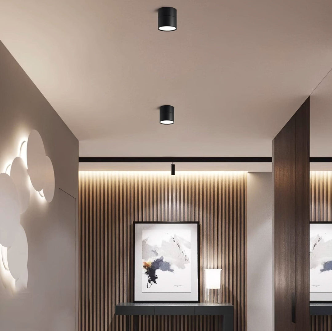 Lisslune | Adjustable Surface LED Ceiling Light Warm White