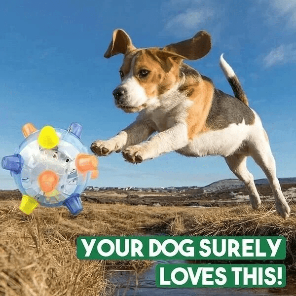 Lisslune | Interactive LED Jump Ball for Dogs