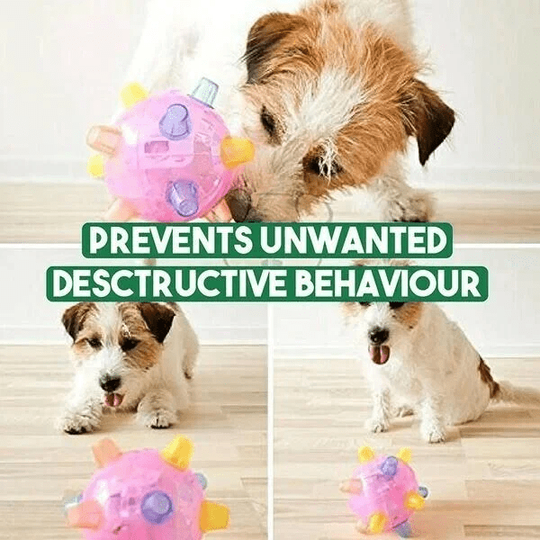 Lisslune | Interactive LED Jump Ball for Dogs