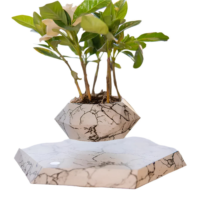 Lisslune | GeoSpin rotating geometric plant box