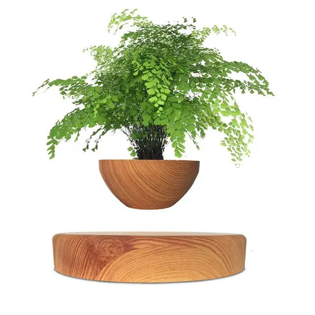 Lisslune | GeoSpin rotating geometric plant box