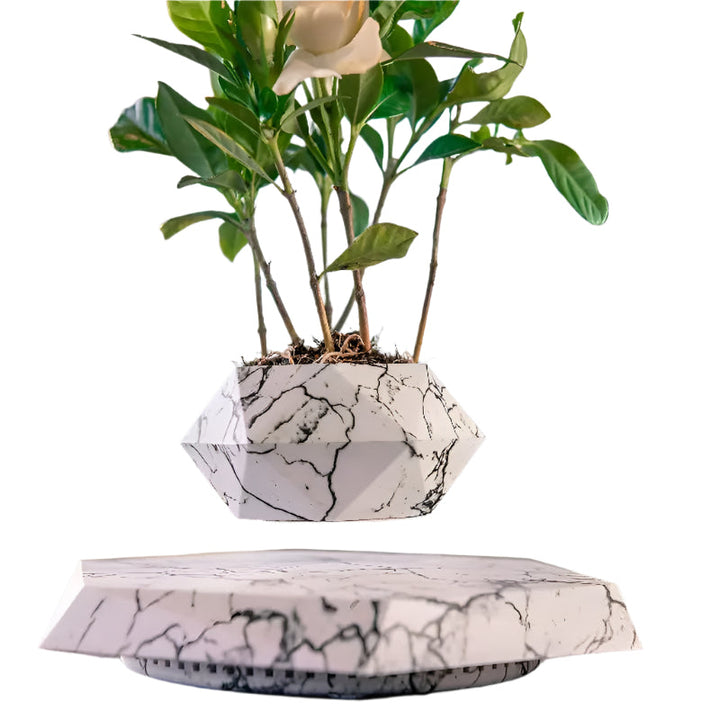 Lisslune | GeoSpin rotating geometric plant box