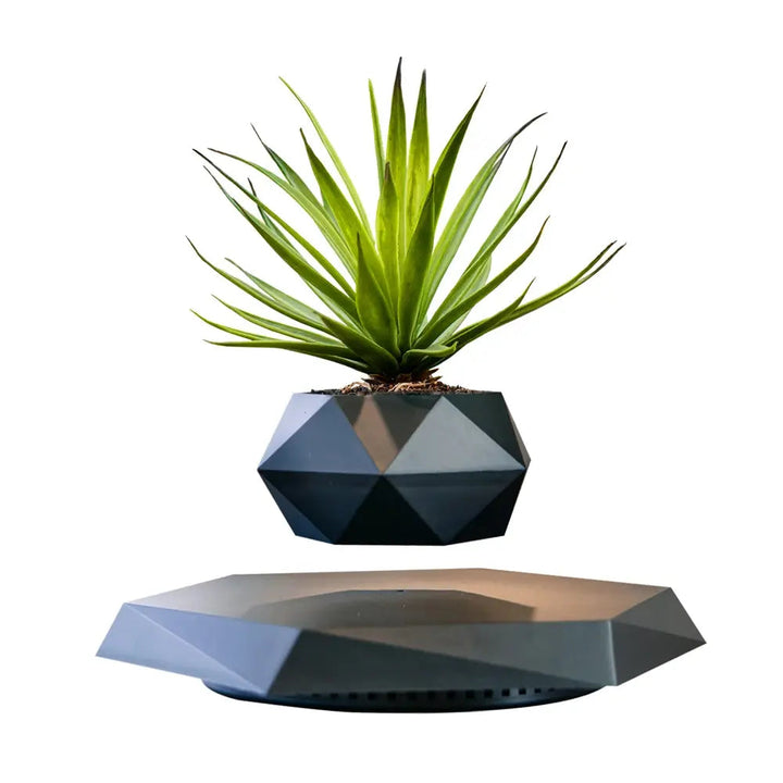 Lisslune | GeoSpin rotating geometric plant box