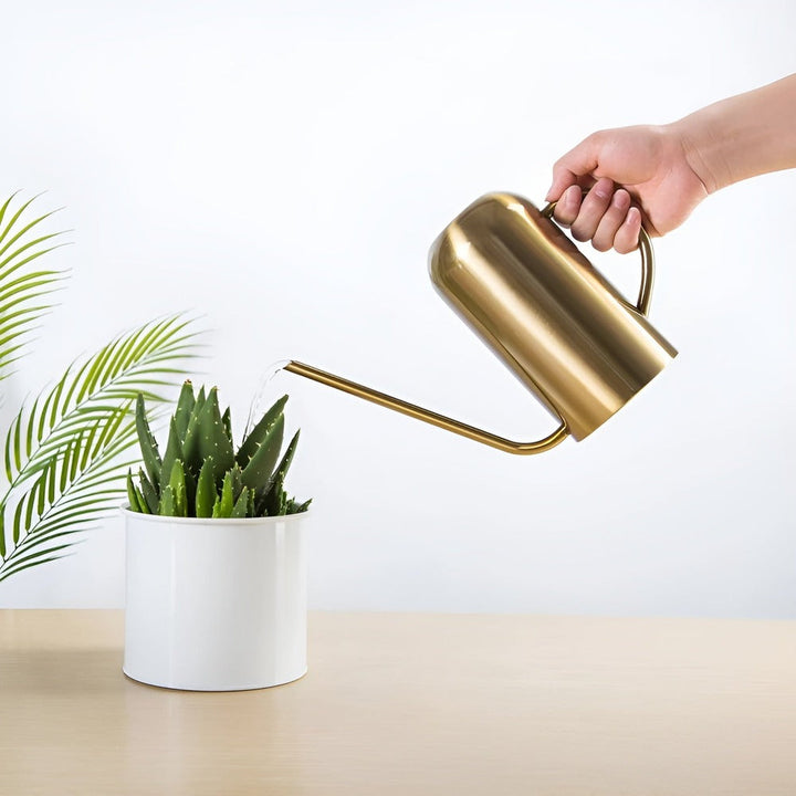 Lisslune | Fluora – 1.5L Stainless Steel Watering Can with Long Spout