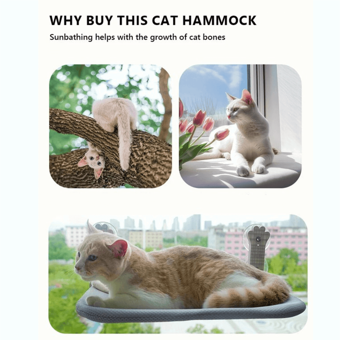 Lisslune | Cat Window Hammock on Window Bed Narrow Sill Perch
