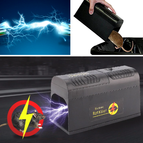Lisslune | The Best Electric Mouse Trap