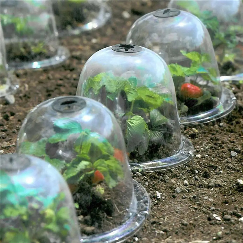 Lisslune | Frost Protection Clear Garden Plant Cover