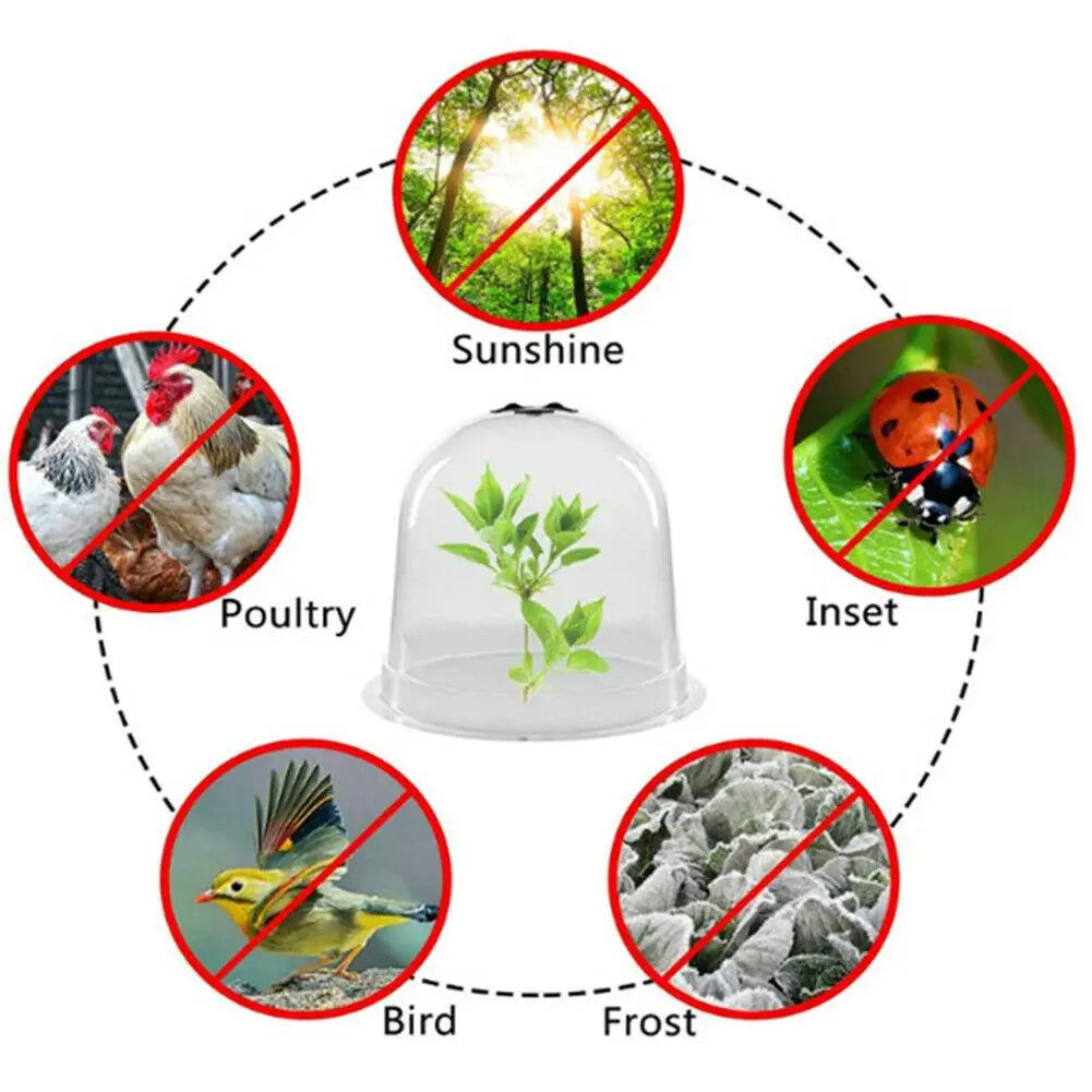 Lisslune | Frost Protection Clear Garden Plant Cover