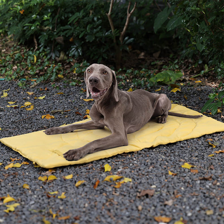 Lisslune | Folding Waterproof Portable Dog Car Seat Mat Dog Camping Mat