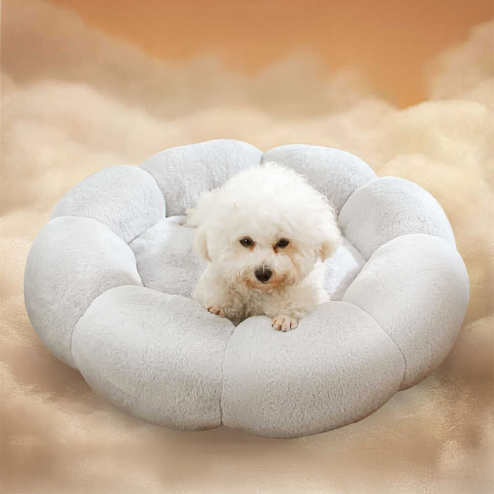 Lisslune | Flower Heat Full Support Washable Decoration Dog & Cat Bed