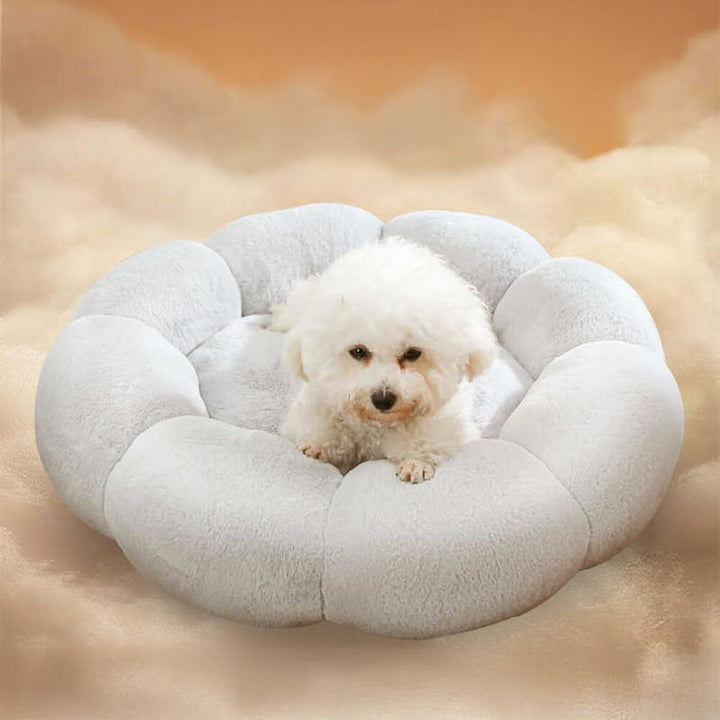 Lisslune | Flower Heat Full Support Washable Decoration Dog & Cat Bed