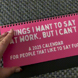 Lisslune | Funny 2025 sarcastic calendar