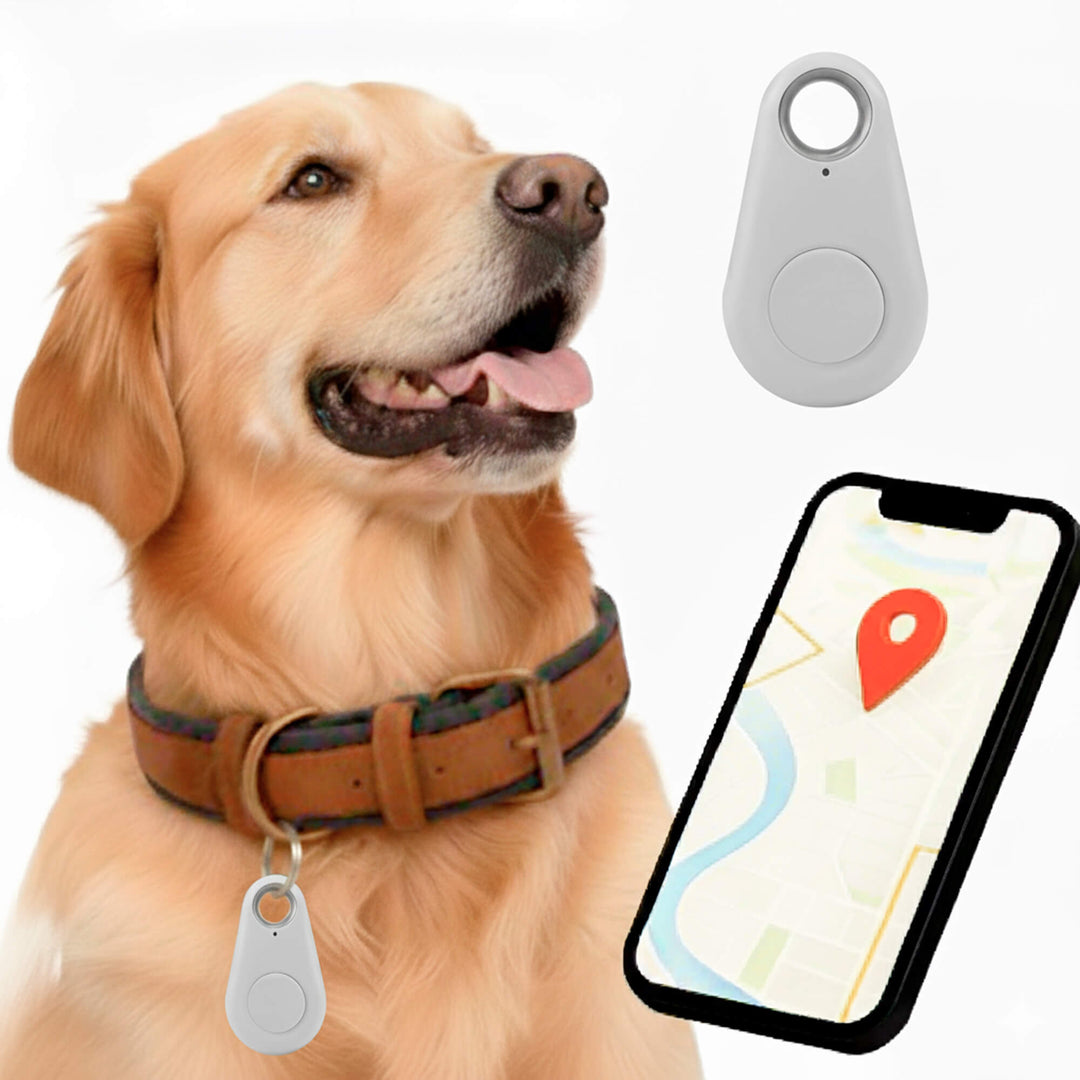 Lisslune | GPS Dog Tracker | Waterproof, Real-Time Location & Safety Zone Alerts for Outdoor Adventures