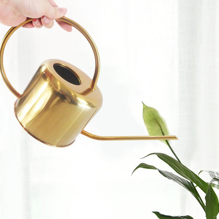 Lisslune | Elliptical Watering Can