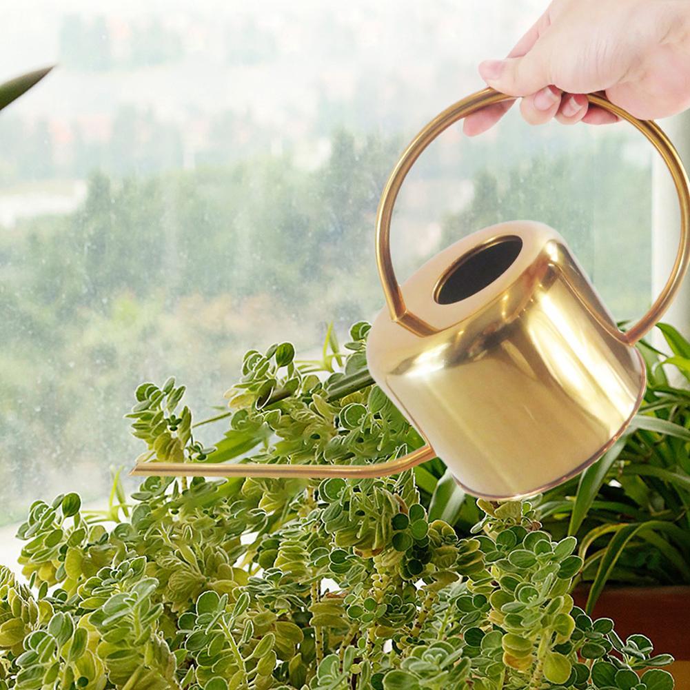 Lisslune | Elliptical Watering Can