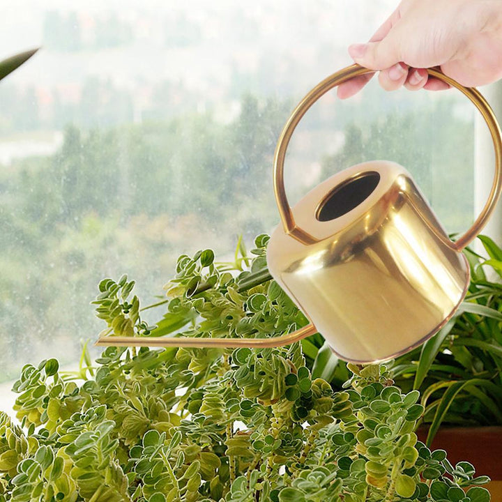 Lisslune | Elliptical Watering Can