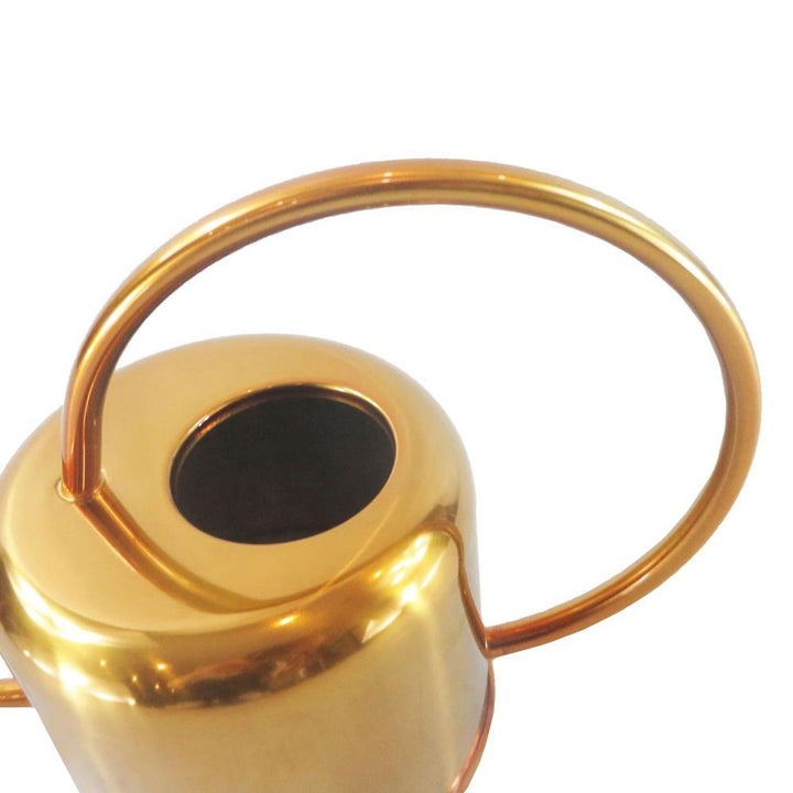Lisslune | Elliptical Watering Can
