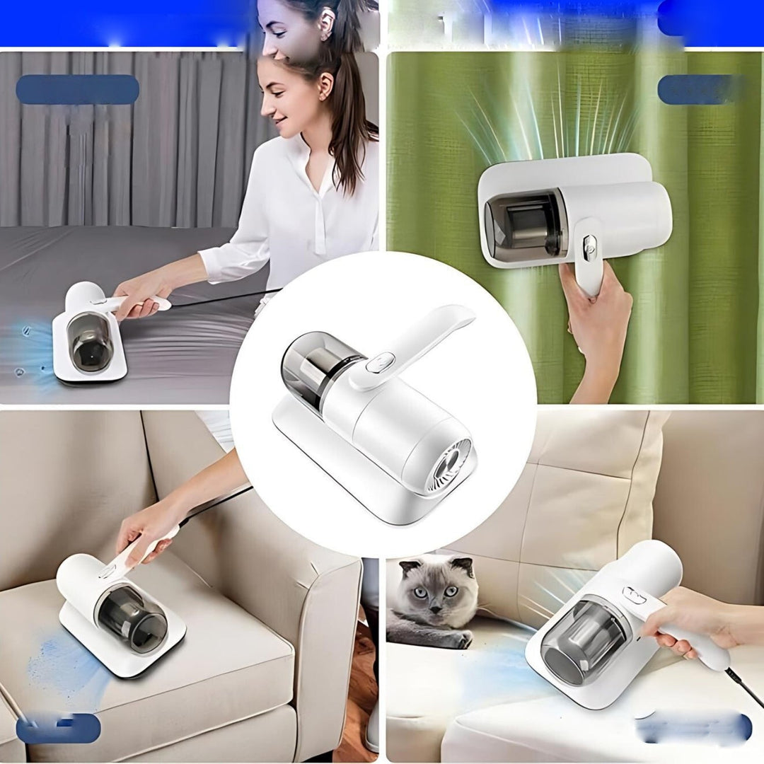 Lisslune | AllerClean | Deep cleaning against house dust mites and allergens