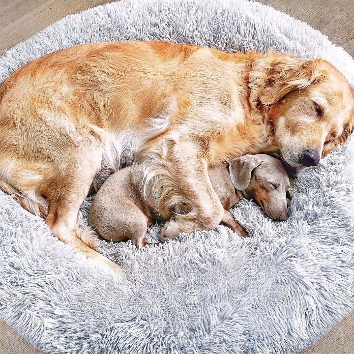 Lisslune | FluffyNest Comfort Dog Bed – Orthopedic Plush Sleeping Cushion for Dogs