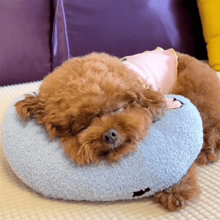 Lisslune | PETEASE LUXURY – Orthopedic Dog Bed against Stress & Joint Pain