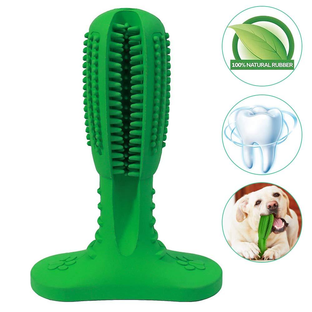 Lisslune | Dog toothbrush chew toy