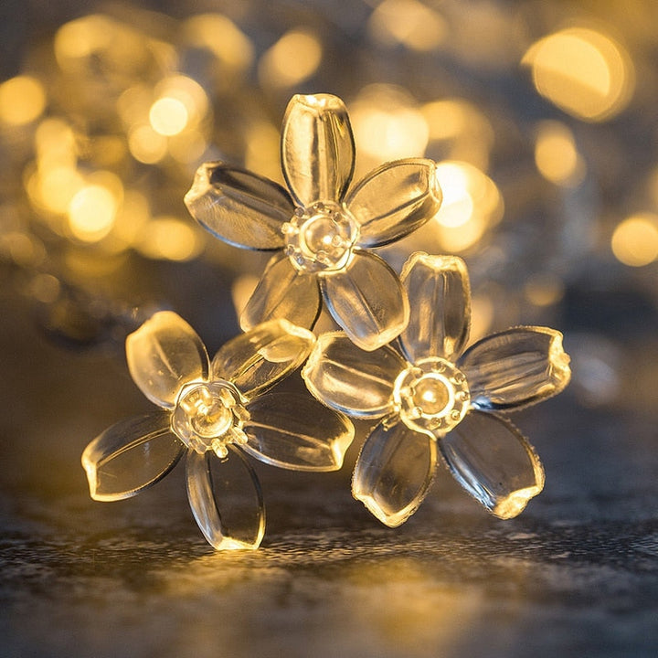 Lisslune | String light decoration interior