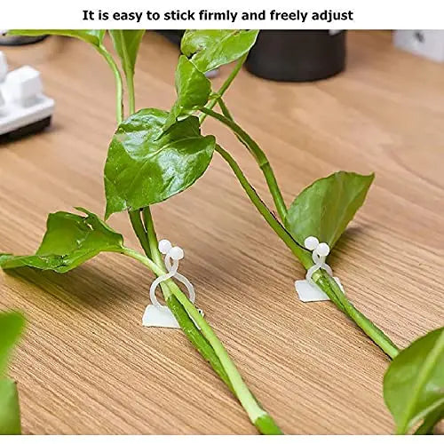 Lisslune | Climbing Wall Mounting Clips – Practical Plant Holders for Wall Decoration