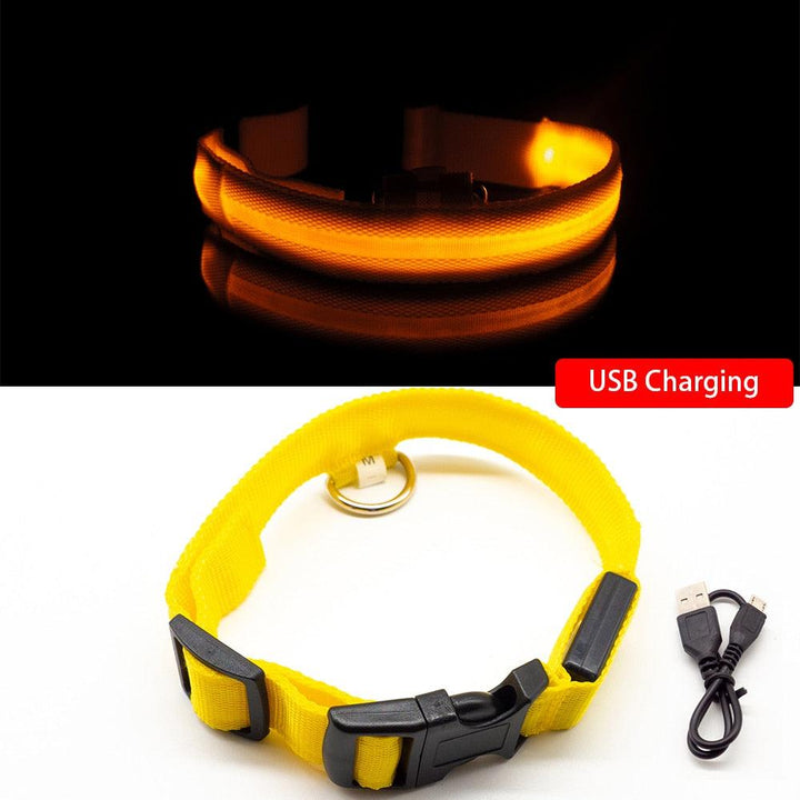 Lisslune | Light & Protect: Rechargeable Waterproof LED Dog Collar for Enhanced Nighttime Safety