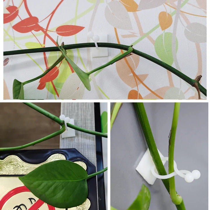 Lisslune | Climbing Wall Mounting Clips – Practical Plant Holders for Wall Decoration