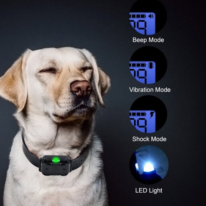 Lisslune | Long Shot Electric Dog Training Waterproof Collar